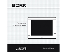 Инструкция кинескопного телевизора Bork TV SPR 2560 SI