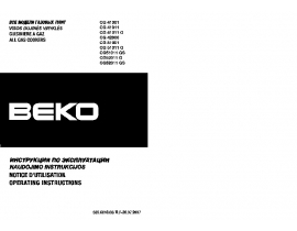 Инструкция плиты Beko CG 51011 G (GS)