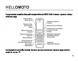 Руководство пользователя, руководство по эксплуатации сотового gsm, смартфона Motorola W510