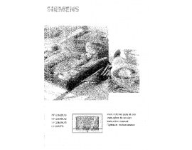 Инструкция микроволновой печи Siemens HF 25M560