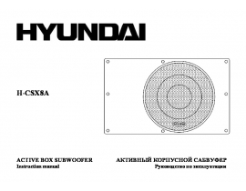Инструкция автомобильных колонок Hyundai Electronics H-CSX8A