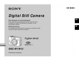 Инструкция цифрового фотоаппарата Sony DSC-W1_DSC-W12