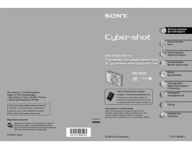 Руководство пользователя цифрового фотоаппарата Sony DSC-W100