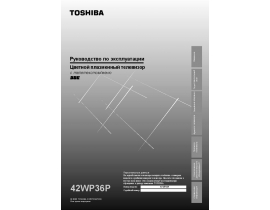 Руководство пользователя, руководство по эксплуатации плазменного телевизора Toshiba 42WP36P